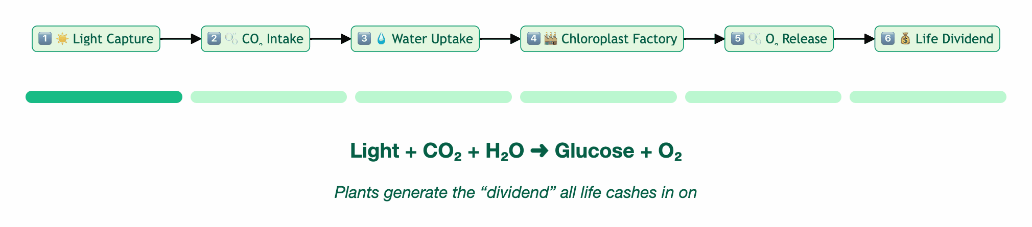 Photosynthesis timeline visualization